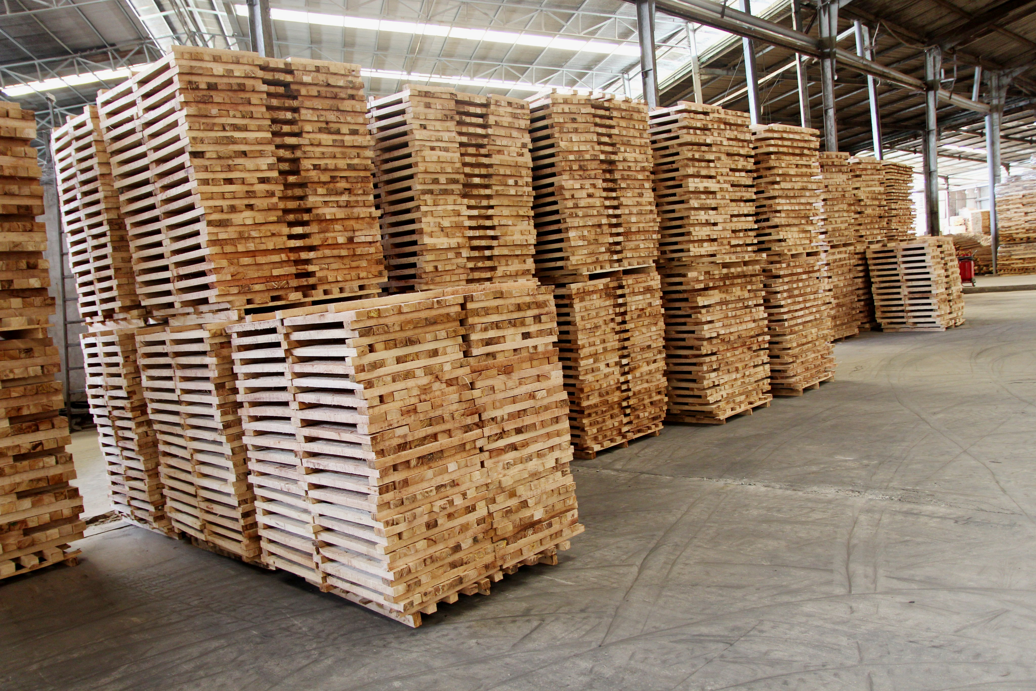 Ván cao su mỏng 21, 26, 33